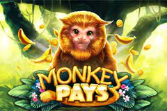 สล็อต Monkey Pays